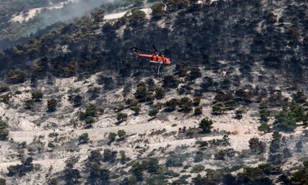 O Γιώργος Αμυράς συντονιστής για την ανάπλαση των καμένων σε Πάρνηθα και Έβρο